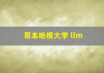 哥本哈根大学 llm